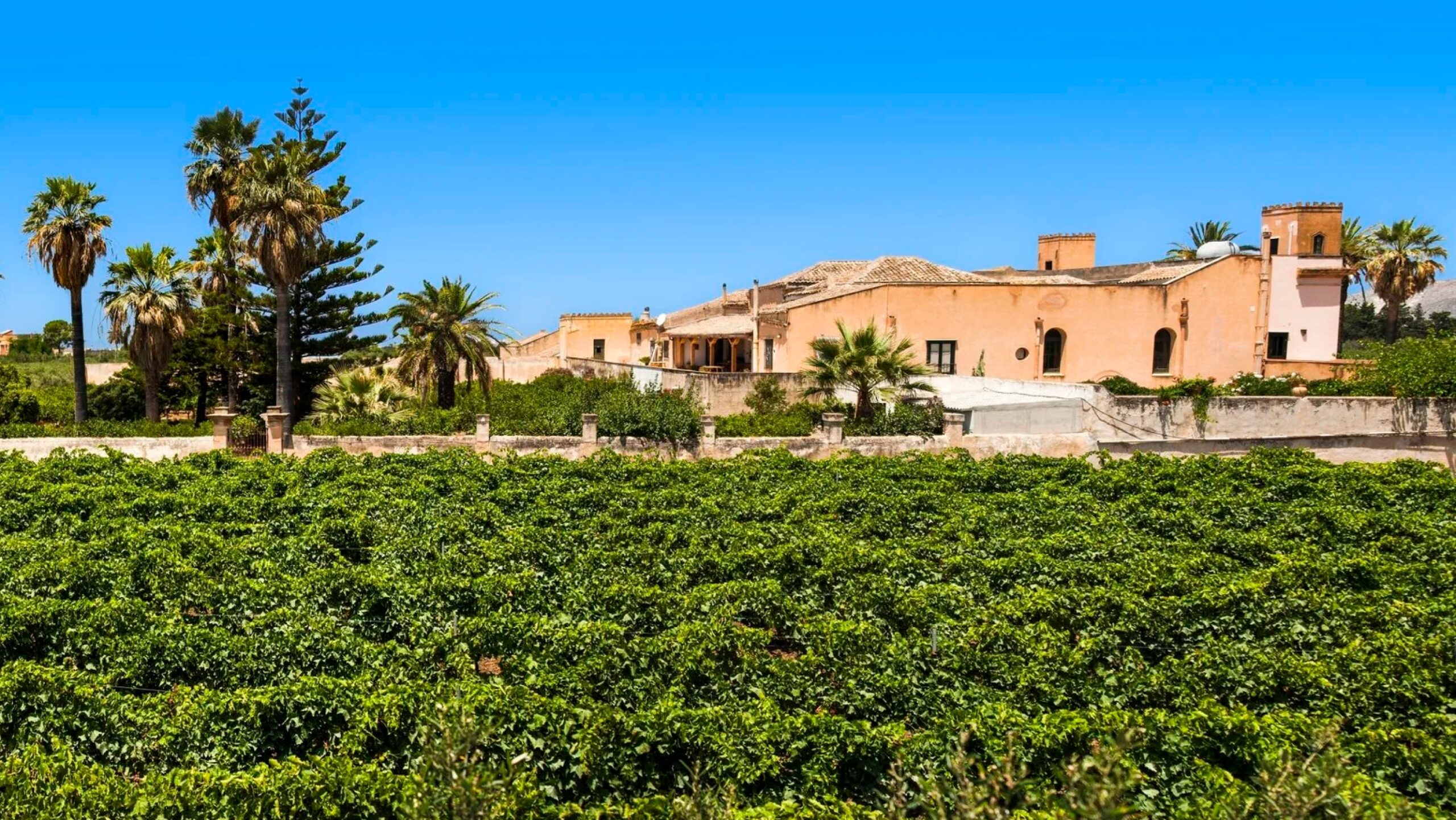 Baglio Ingardias vingård vid Trapani, Sicilien