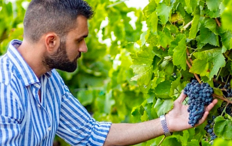 Nicola Ingardia bland vinrankorna