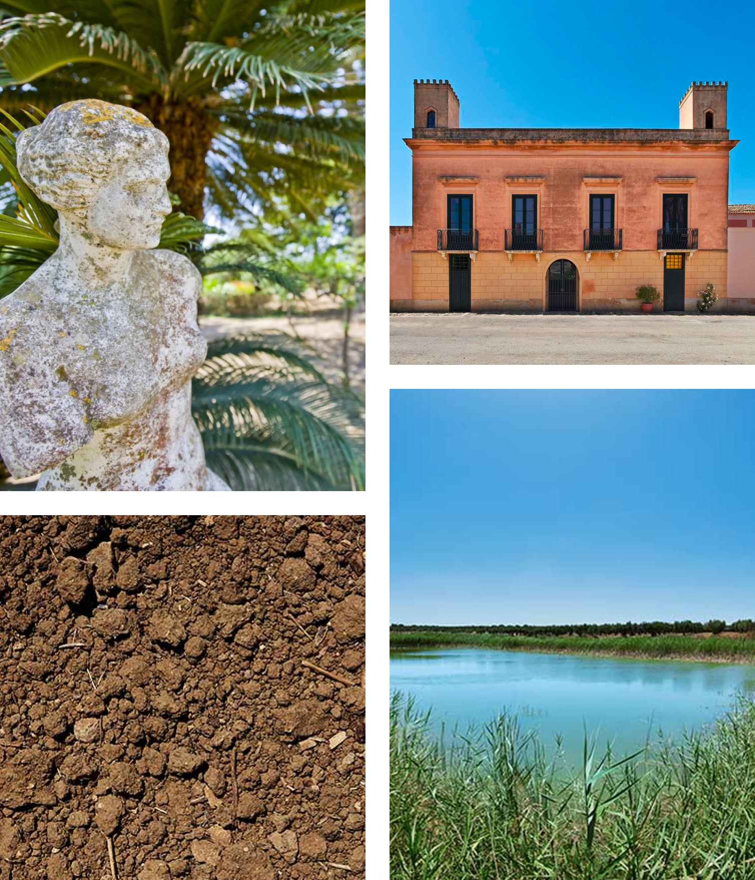 Bildcollage från Baglio Ingardia gård och vinproduktion